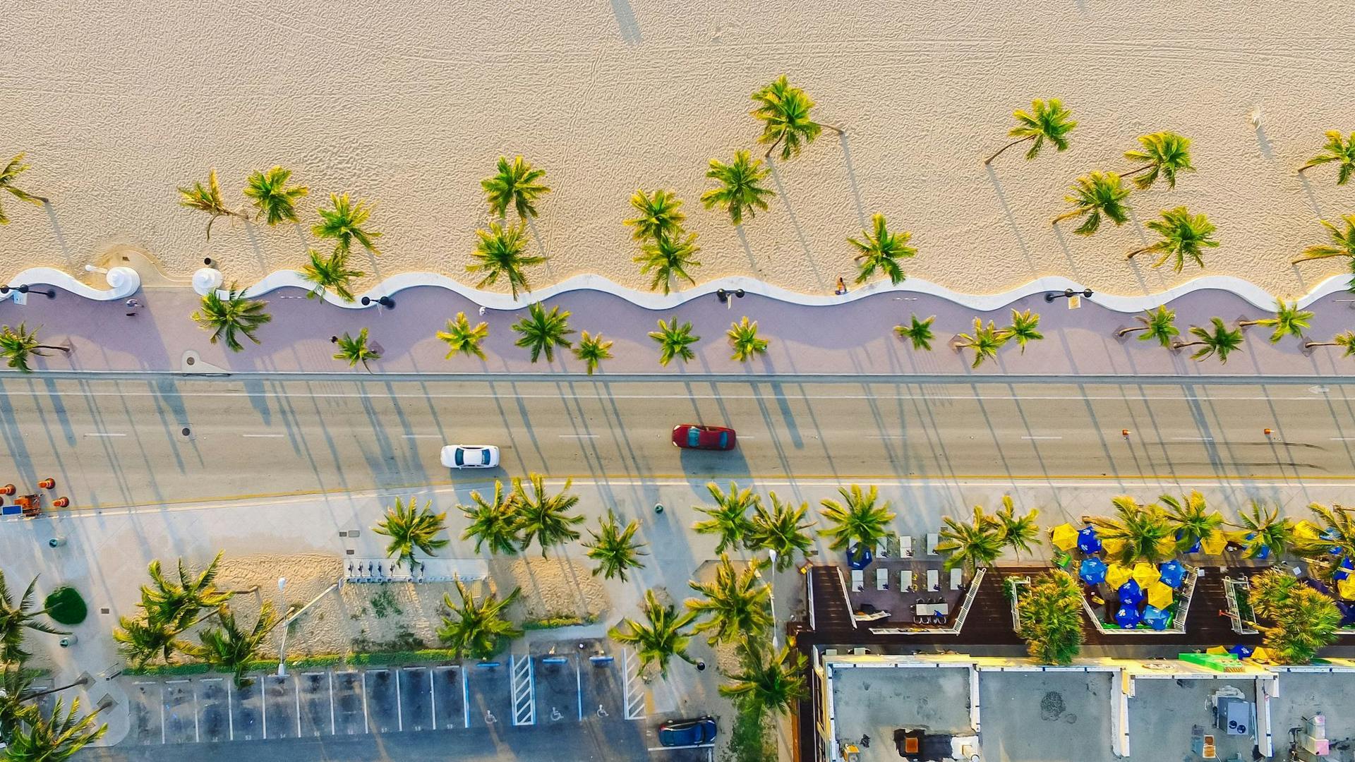 Aerial view of beach and palm streets with cars on road