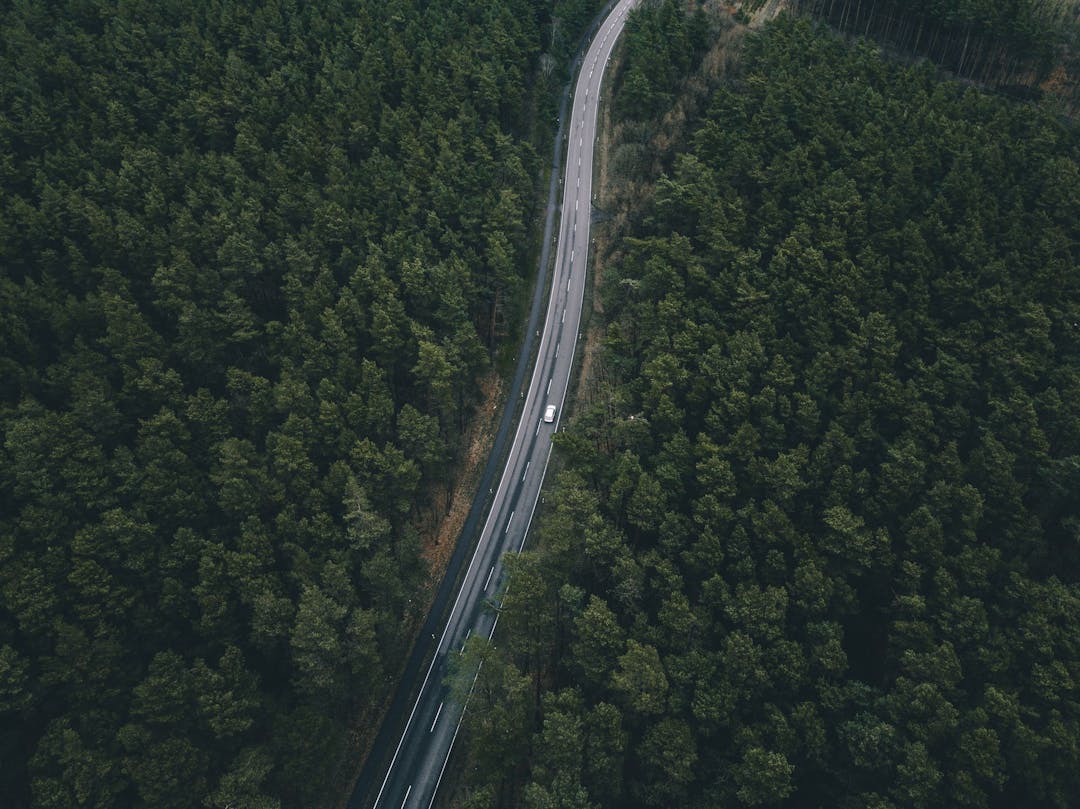 Aerial view of car driving on a road through the woods