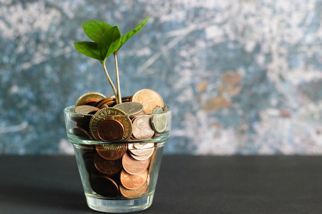 Glass pot filled with coins and a plant sprouting out
